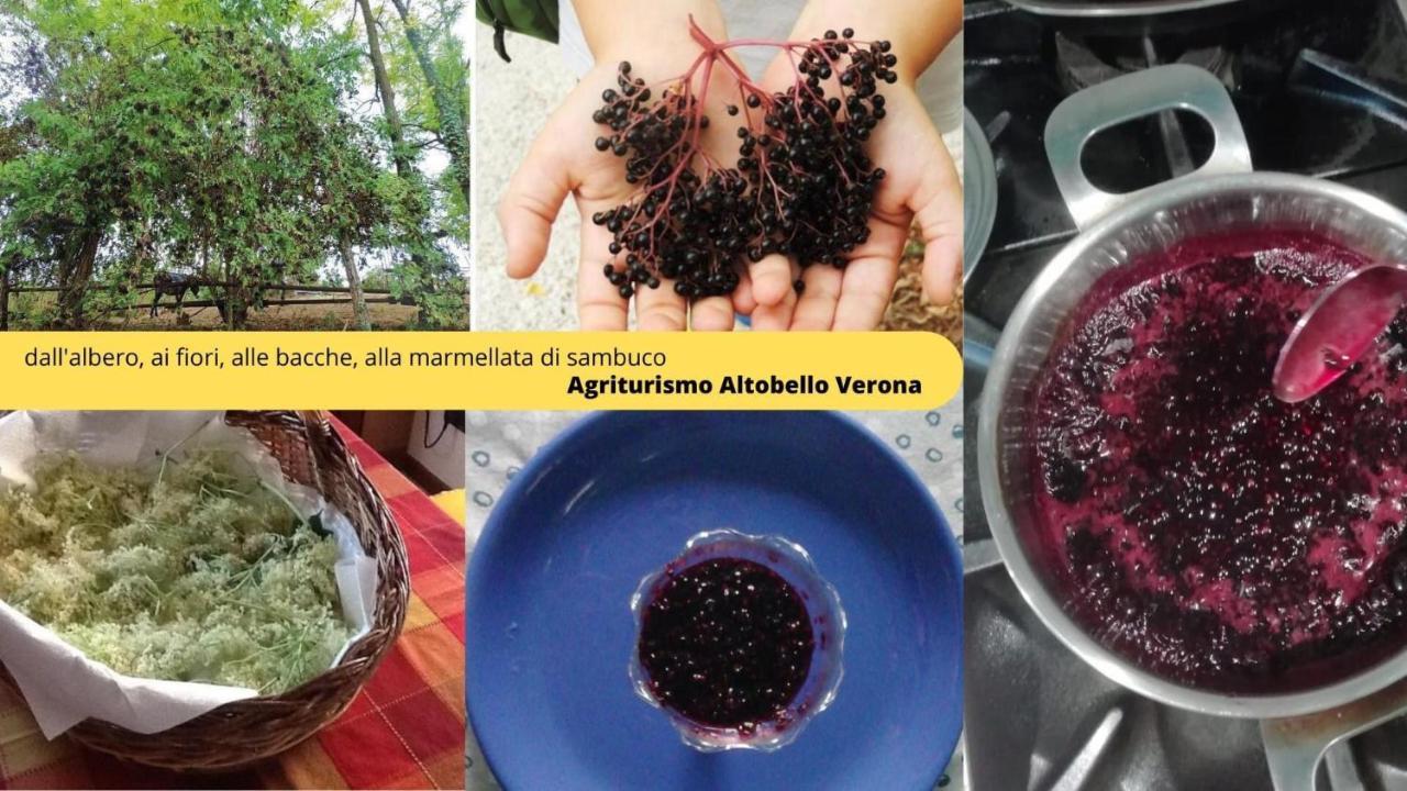Agriturismo Altobello Verona Eksteriør billede