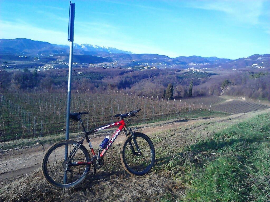 Agriturismo Altobello Verona Eksteriør billede
