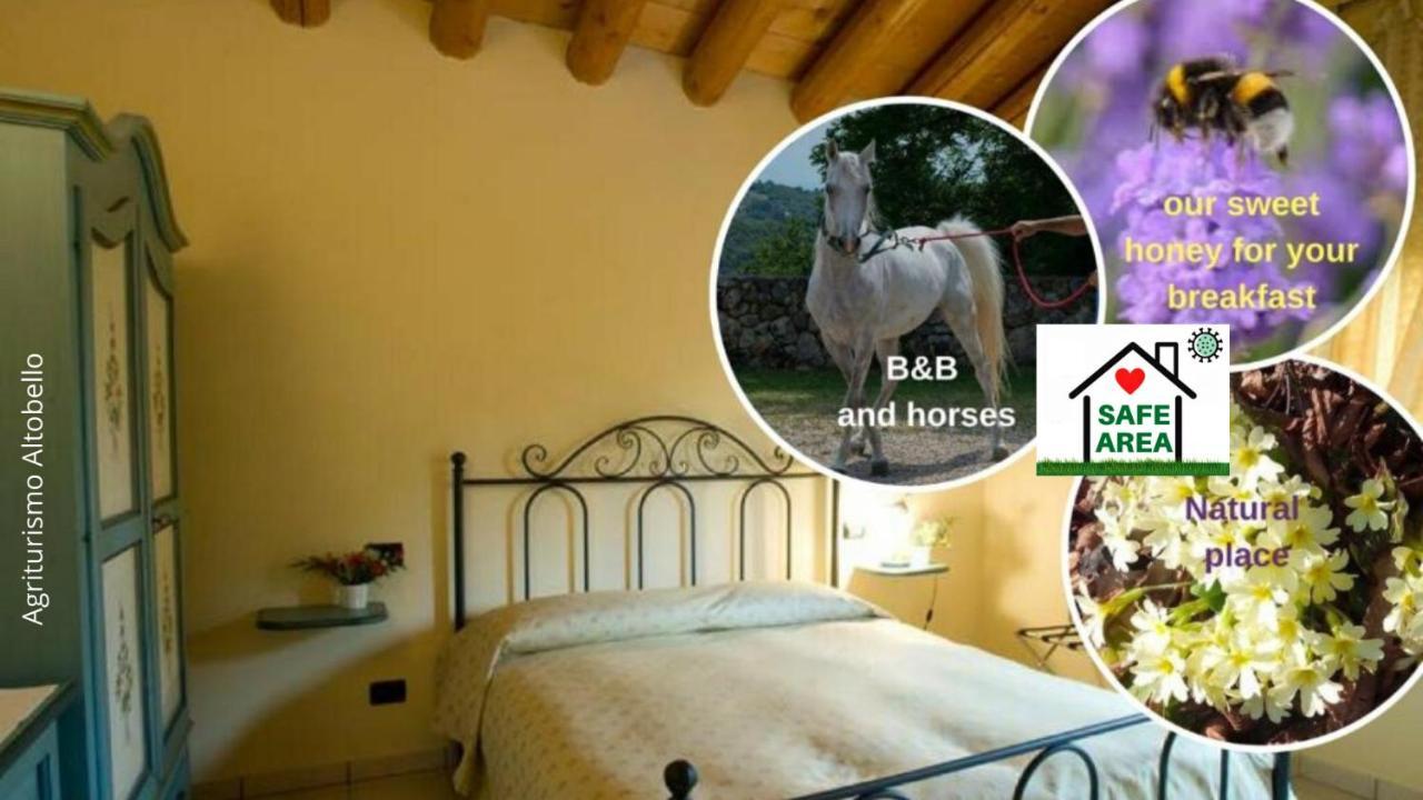 Agriturismo Altobello Verona Eksteriør billede
